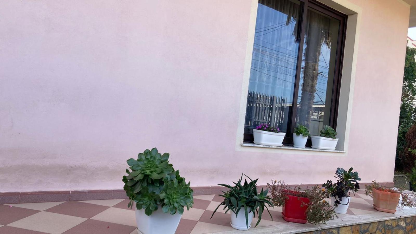 Blissful Hostel Shkodër Eksteriør billede